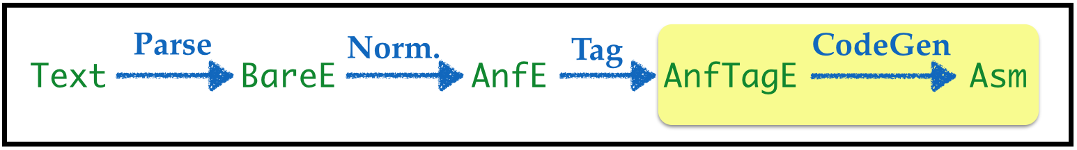 Compiler Pipeline: ANF to ASM